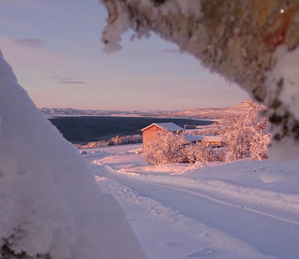 Nesseby Guesthouse Varangerbotn Екстер'єр фото
